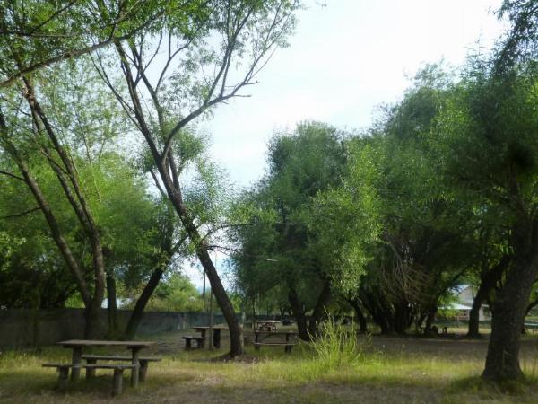 Foto de Camping Malén - El Bolsón en Malén,El Bolsón,Río Negro