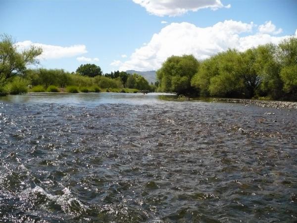 Foto de Camping Mallín Laura Vicuña - Junín de los Andes en Mallín Laura Vicuña,Junín de los Andes,Neuquén