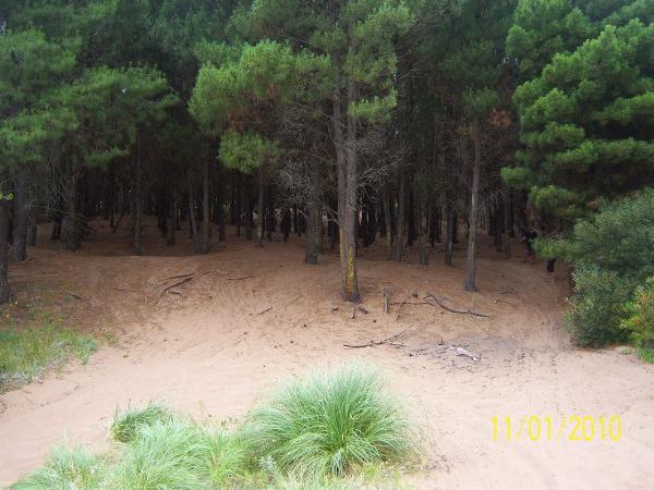 Foto de Camping Marisol - Balneario Marisol en Marisol,Balneario Marisol,Buenos Aires