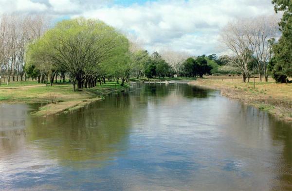 Foto de Camping Municipal Arroyo Gualicho - Las Flores en Municipal Arroyo Gualicho,Las Flores,Buenos Aires