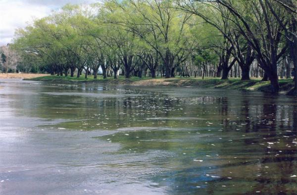 Foto de Camping Municipal Arroyo Gualicho - Las Flores en Municipal Arroyo Gualicho,Las Flores,Buenos Aires