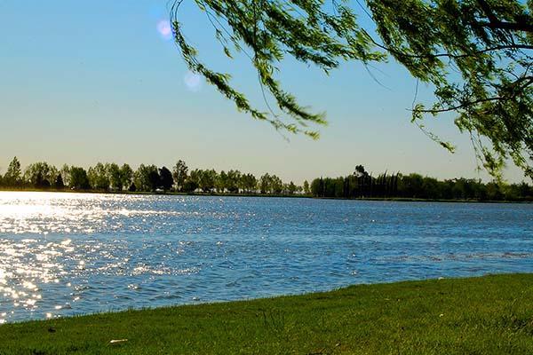 Foto de Camping Municipal - Colón en Municipal,Colón,Buenos Aires