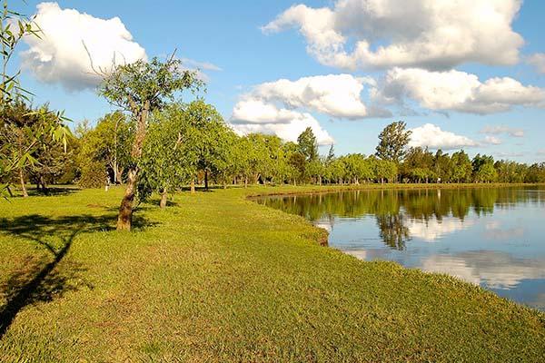 Foto de Camping Municipal - Colón en Municipal,Colón,Buenos Aires