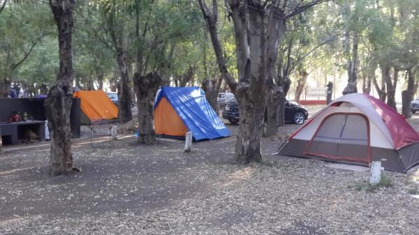 Foto de Camping Municipal El Paraíso - Laprida en Municipal El Paraíso,Laprida,Buenos Aires