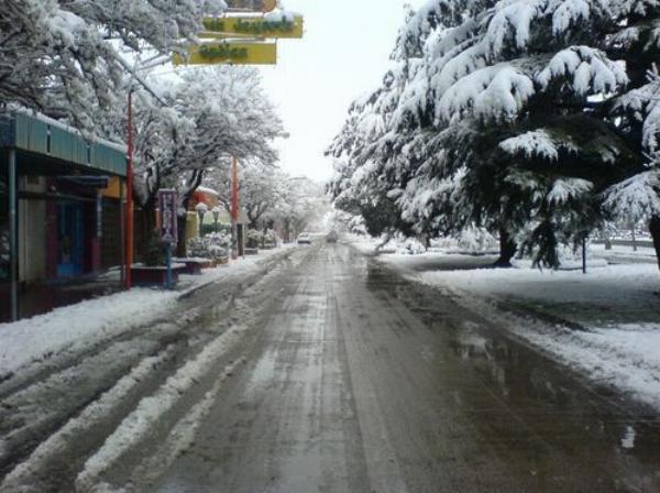 Foto de Camping Municipal - Zapala en Municipal,Zapala,Neuquén