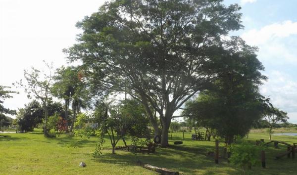 Foto de Camping Nuevo Amanecer - Santa Ana en Nuevo Amanecer,Santa Ana,Corrientes