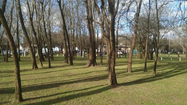 Foto de Camping Nuevo Costero Sur - Colón en Nuevo Costero Sur,Colón,Entre Ríos