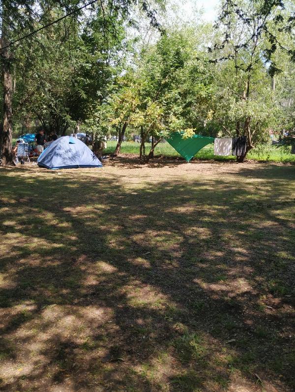 Foto de Camping Nuevo Costero Sur - Colón en Nuevo Costero Sur,Colón,Entre Ríos