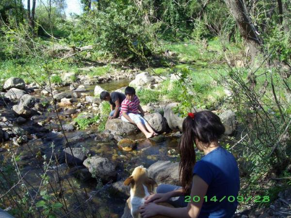 Foto de Camping Pablito - Villa Ventana en Pablito,Villa Ventana,Buenos Aires