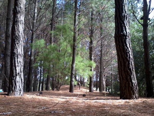 Foto de Camping Peloponeso - Orense en Peloponeso,Orense,Buenos Aires