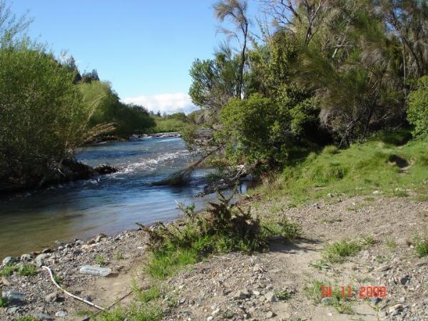 Foto de Camping Rahué - Parque Nacional Los Alerces en Rahué,Parque Nacional Los Alerces,Chubut