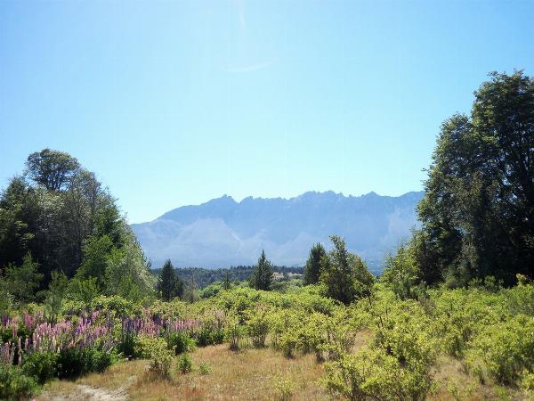Foto de Camping Refugio Lago Puelo - Lago Puelo en Refugio Lago Puelo,Lago Puelo,Chubut