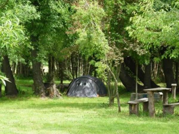 Foto de Camping Refugio Patagónico - El Bolsón en Camping Refugio Patagónico, Pastorino, El Bolsón, Río Negro, Argentina