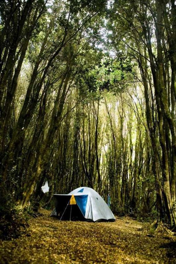 Foto de Camping Refugio Patagónico - El Bolsón en Camping Refugio Patagónico, Pastorino, El Bolsón, Río Negro, Argentina