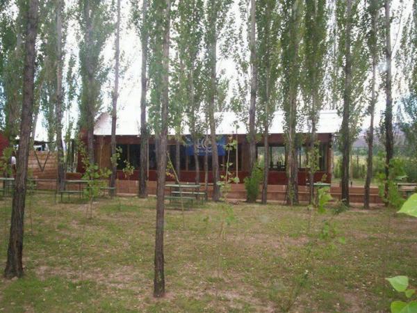 Foto de Camping Rincón de los Andes - Uspallata en Rincón de los Andes,Uspallata,Mendoza