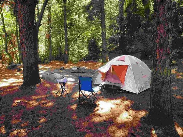 Foto de Camping CAMPAMENTO SAC - Bariloche en CAMPING SAC - Campamento SAC Bariloche, Ruta Provincial 79, Colonia Suiza, Río Negro, Argentina