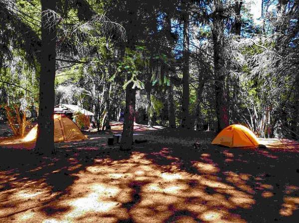 Foto de Camping CAMPAMENTO SAC - Bariloche en CAMPING SAC - Campamento SAC Bariloche, Ruta Provincial 79, Colonia Suiza, Río Negro, Argentina