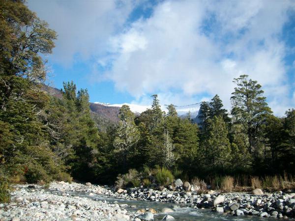 Foto de Camping CAMPAMENTO SAC - Bariloche en CAMPING SAC - Campamento SAC Bariloche, Ruta Provincial 79, Colonia Suiza, Río Negro, Argentina