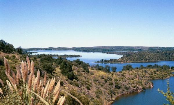 Foto de Camping Schmid - El Trapiche en Schmid,El Trapiche,San Luis