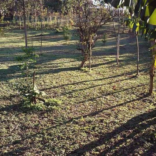 Foto de Camping Teresita - El Soberbio en Teresita,El Soberbio,Misiones