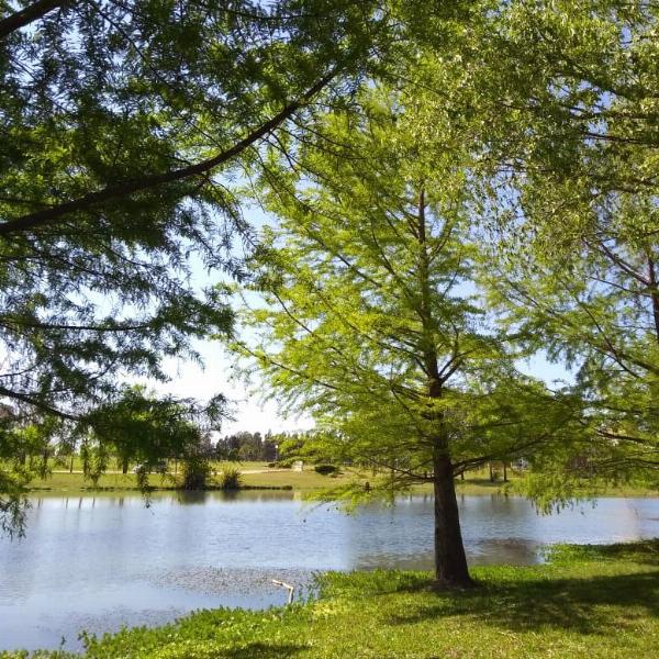 Foto de Camping Termas Villa Elisa - Villa Elisa en Termas Villa Elisa,Villa Elisa,Entre Ríos
