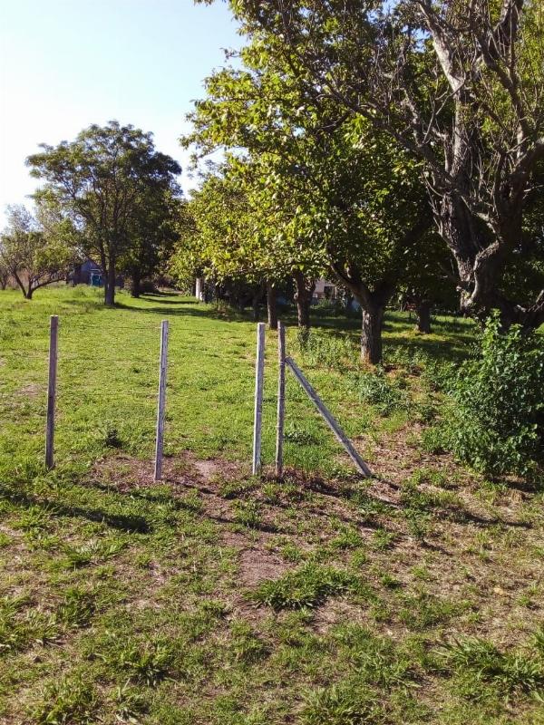 Foto de Camping Tierra Y Frutos - Ministro Rivadavia en Tierra Y Frutos,Ministro Rivadavia,Buenos Aires
