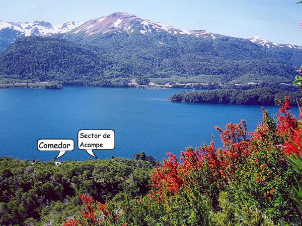 Foto de Camping Trenel - Moquehue en Trenel,Moquehue,Neuquén
