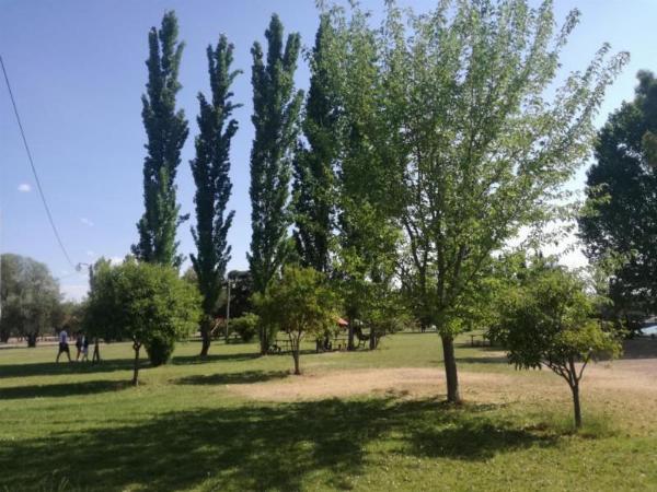 Foto de Camping Viña de Vieytes - Maipú en Viña de Vieytes,Maipú,Mendoza