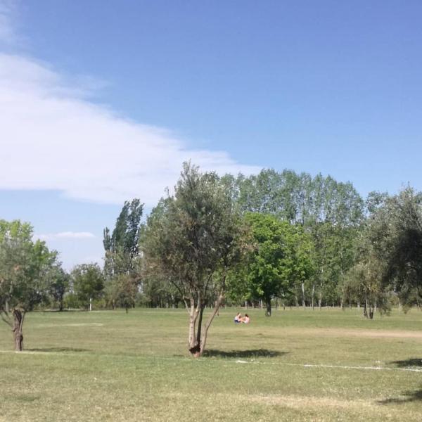 Foto de Camping Viña de Vieytes - Maipú en Viña de Vieytes,Maipú,Mendoza