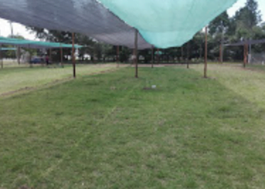 Camping JFK - Nueva Galia