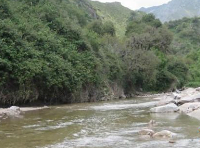 Camping Municipal Los Molles - Los Molles