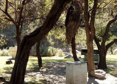Camping Municipal Papagayos - Papagayos