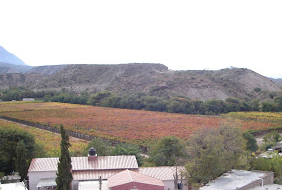 Camping Municipal de Hualfin - Belén
