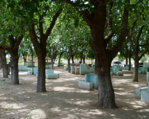 Camping Municipal De Icaño - Recreo