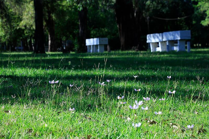 Foto de Camping Los Tilos - Colón en Familiar Los Tilos,Colón,Entre Ríos