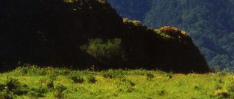 Camping Privado Jose Ayosa - Ambato