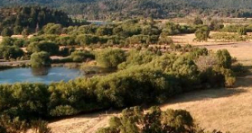 Camping Puerto Ciprés - Trevelín