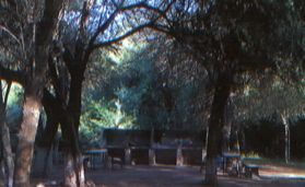 Camping San Jerónimo - Cruz del Eje