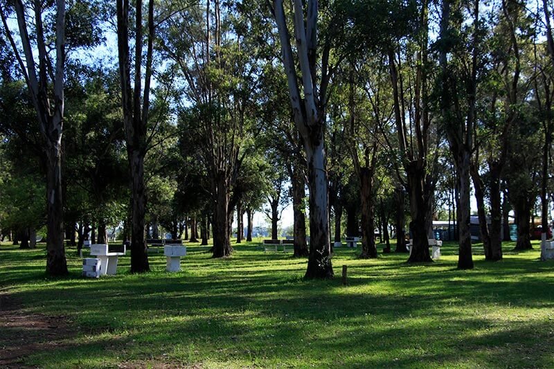 Foto de Camping Los Tilos - Colón en Familiar Los Tilos,Colón,Entre Ríos