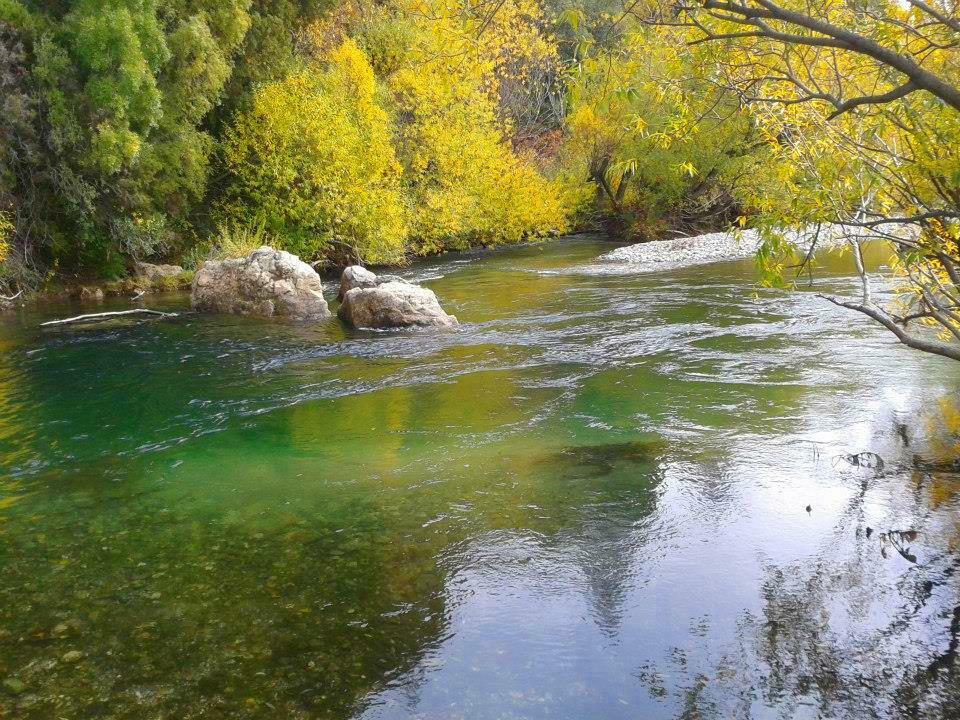 Camping Pocho - El Hoyo