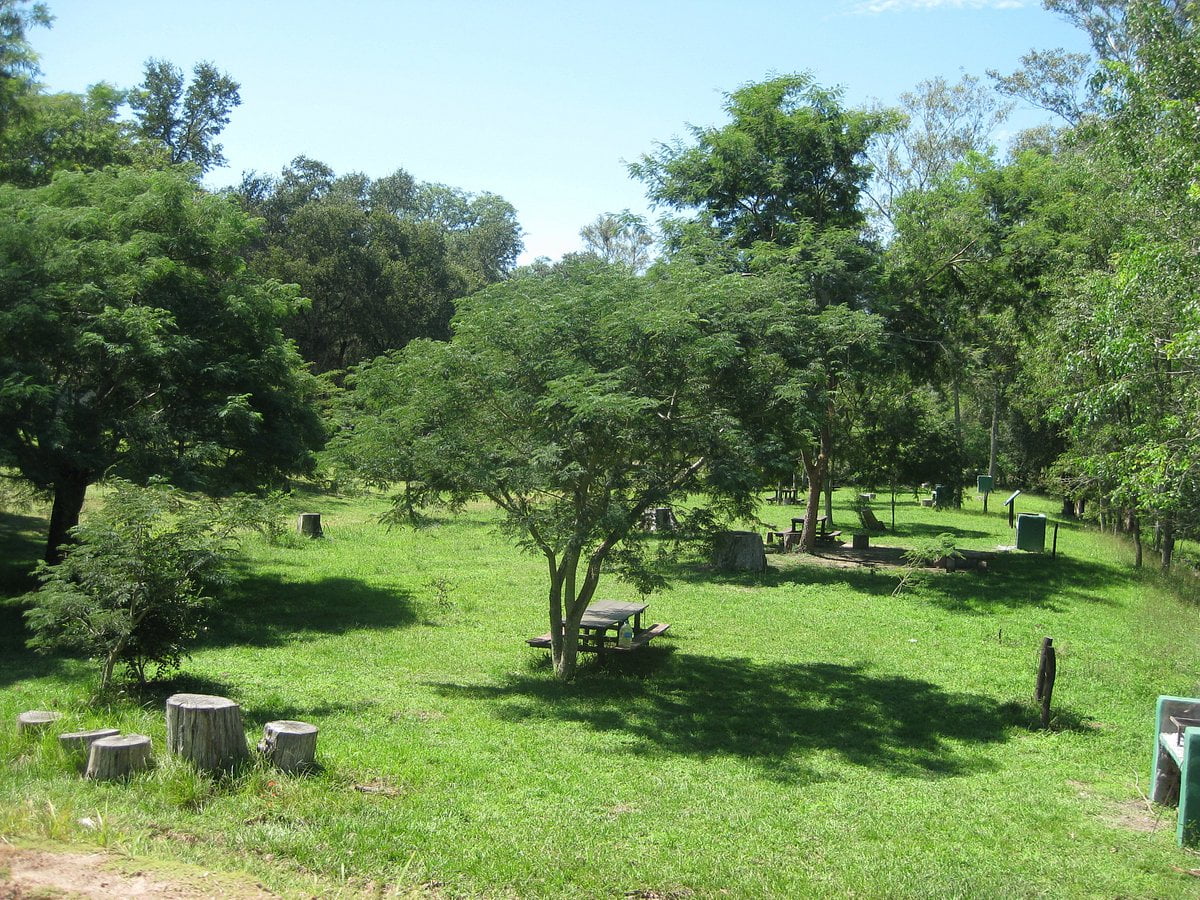 Camping Zona de Campamento - Parque Nacional Chaco