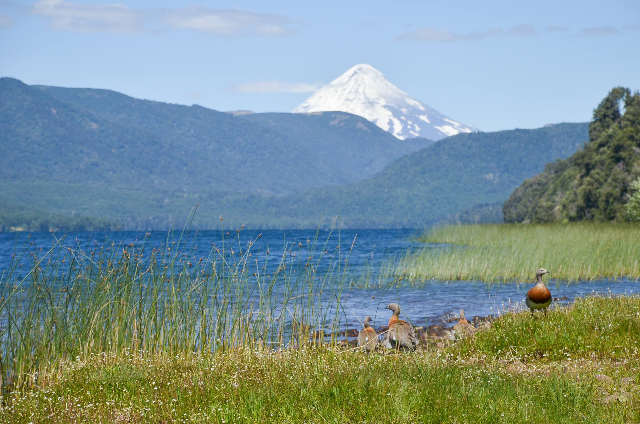 Camping Quillén - Aluminé