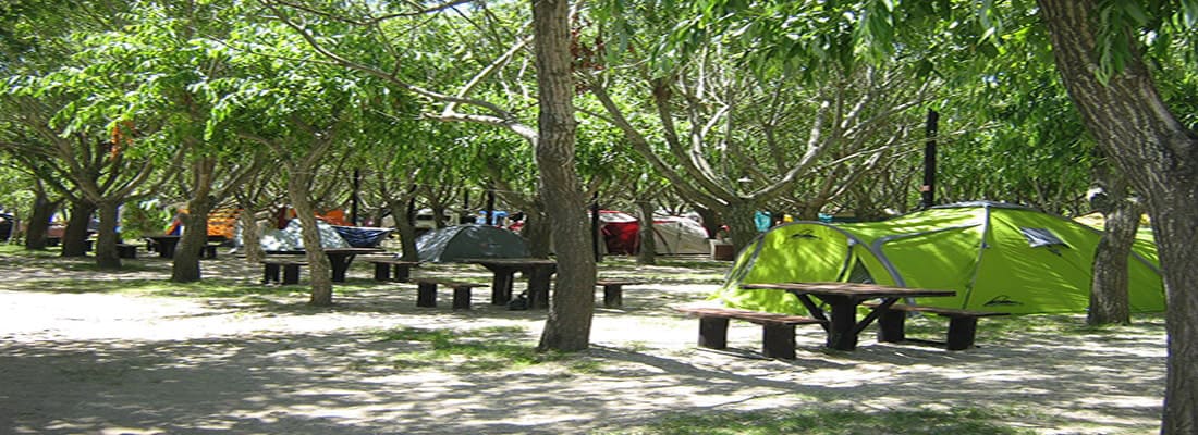 Camping Los Tres Pinos - San Clemente del Tuyú