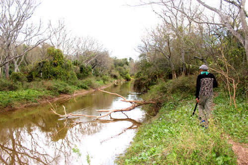 Camping Tigre Ã‘ato