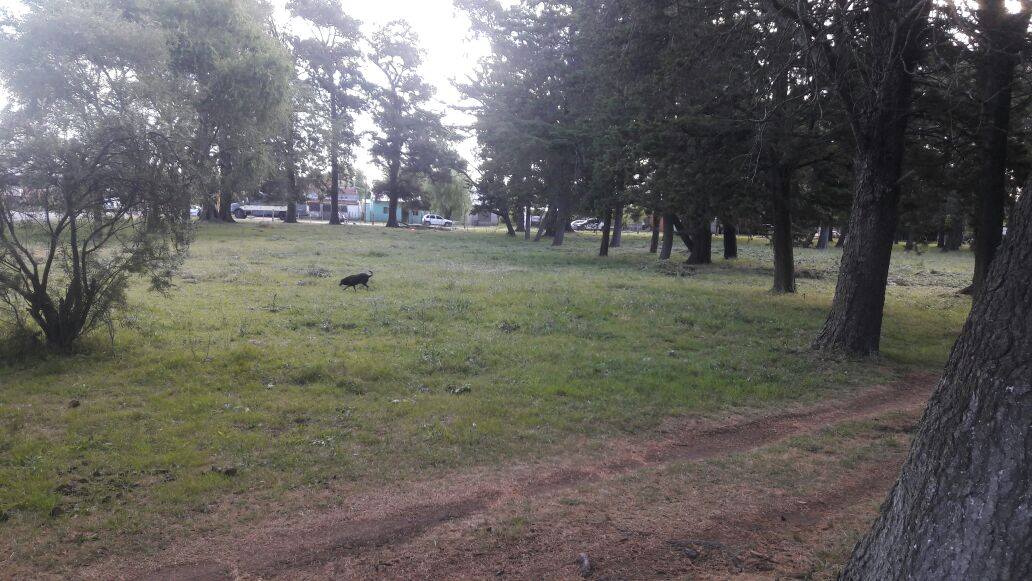 Foto de Camping Club de Pesca - Ayacucho en Club De Pesca Ayacucho, Poderoso, Ayacucho, Buenos Aires, Argentina