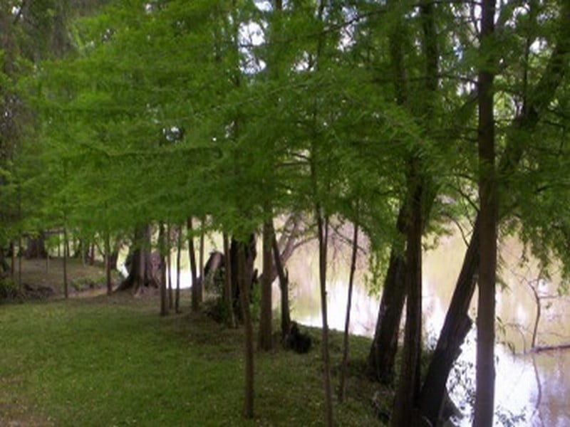 Foto de Camping Cielo - San Fernando en CAMPING EL CIELO, Provincia de Buenos Aires, Argentina