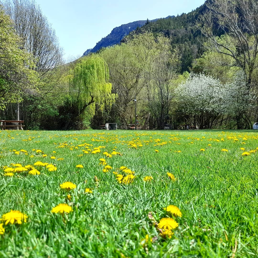Foto de Camping Complejo Turístico La Cordillera - Epuyén en Complejo Turístico La Cordillera,Epuyén,Chubut
