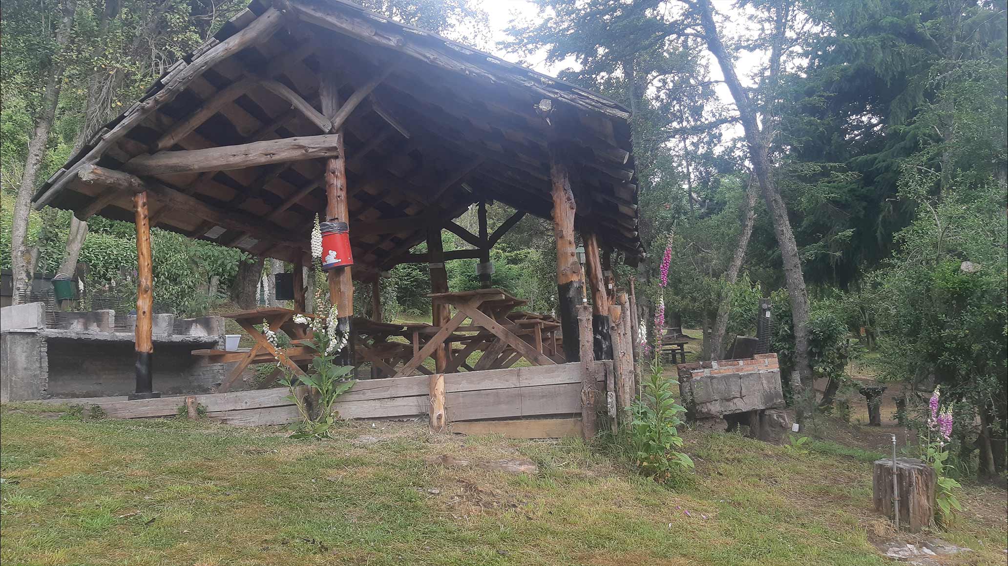 Foto de Camping OSA MAYOR - Villa La Angostura en OSA MAYOR,Villa La Angostura,Neuquén