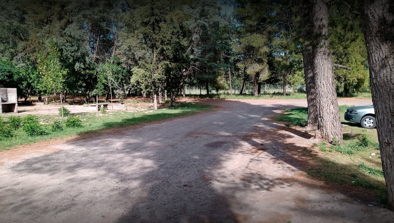 Foto de Camping Municipal Río Colorado - Río Colorado en Camping Río Colorado, Río Negro, Argentina