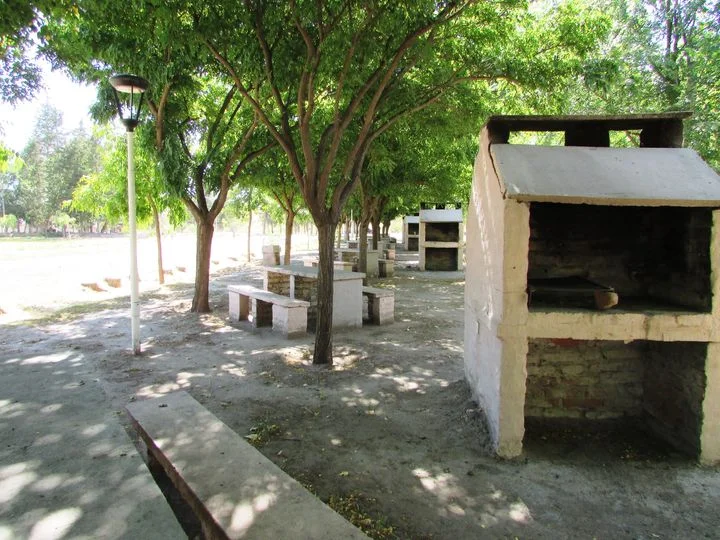 Foto de Camping Municipal Río Colorado - Río Colorado en Camping Río Colorado, Río Negro, Argentina